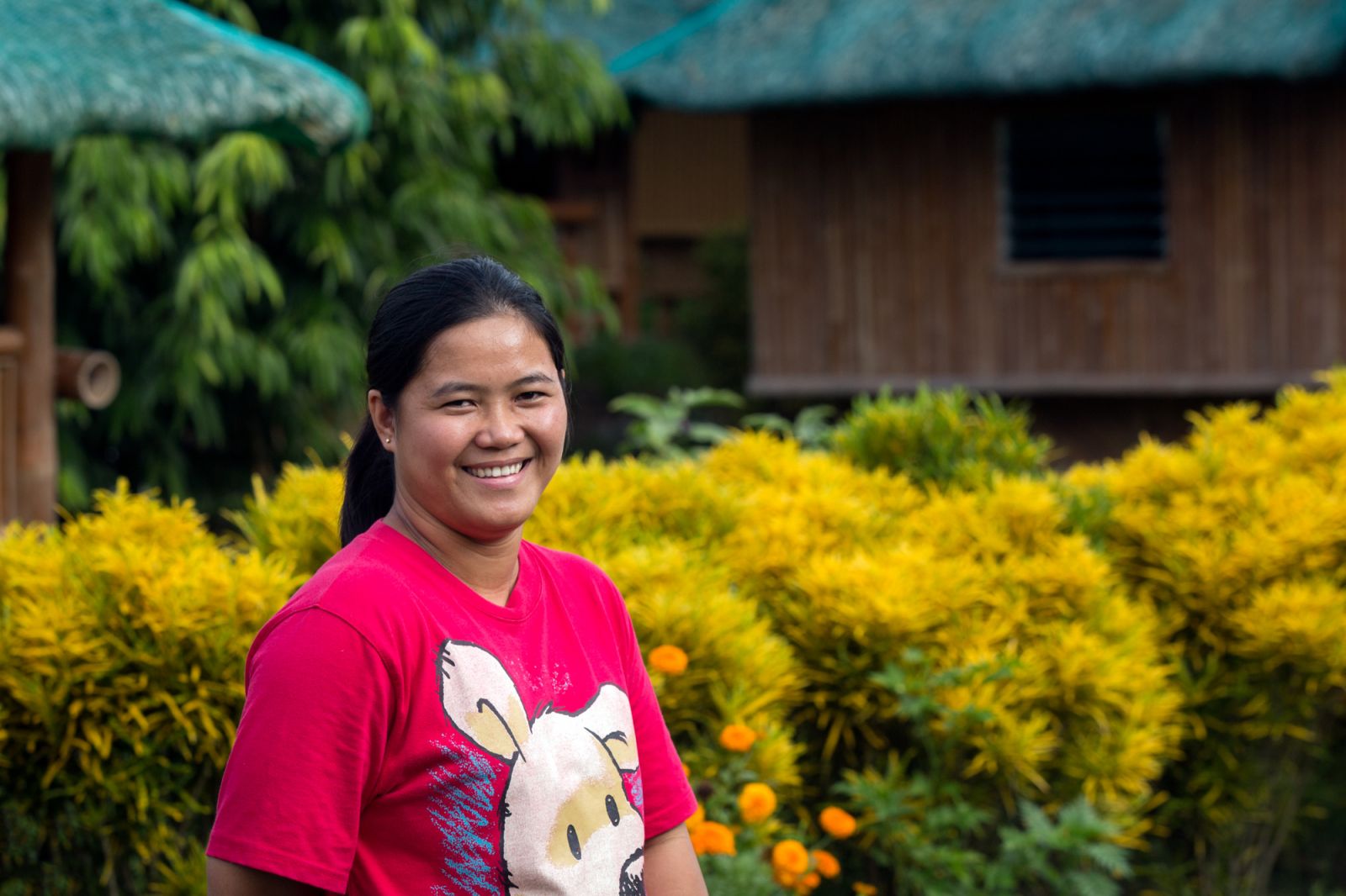 Maricel: Seed Company